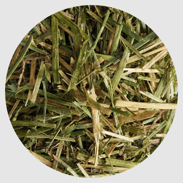 BIOFEED Alfalfa with canola oil 10 kg - sieczka z lucerny z olejem rzepakowym