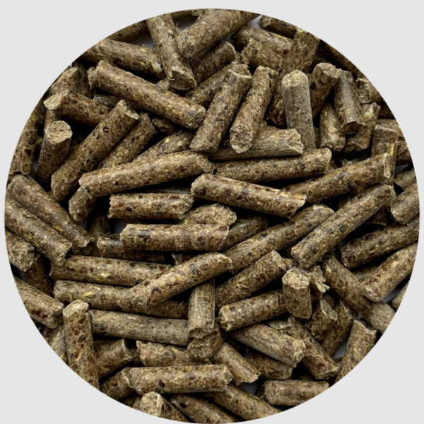 BIOFEED Hair & Skin Pellets 25 kg - granulat dla koni z problemami skórnymi