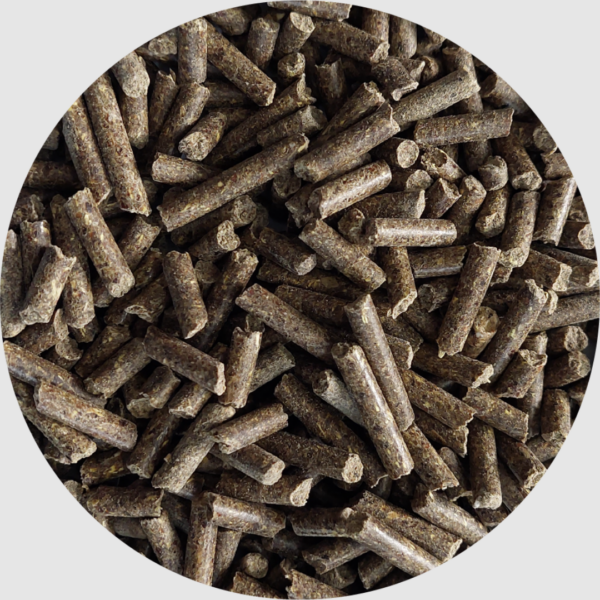 BIOFEED Sensitive Pellets Grain Free 25 kg - dla koni z wrażliwym układem pokarmowym
