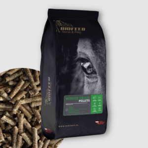 BIOFEED Horse & Pony Whole Grain Pellets 25 kg - granulat podstawowy