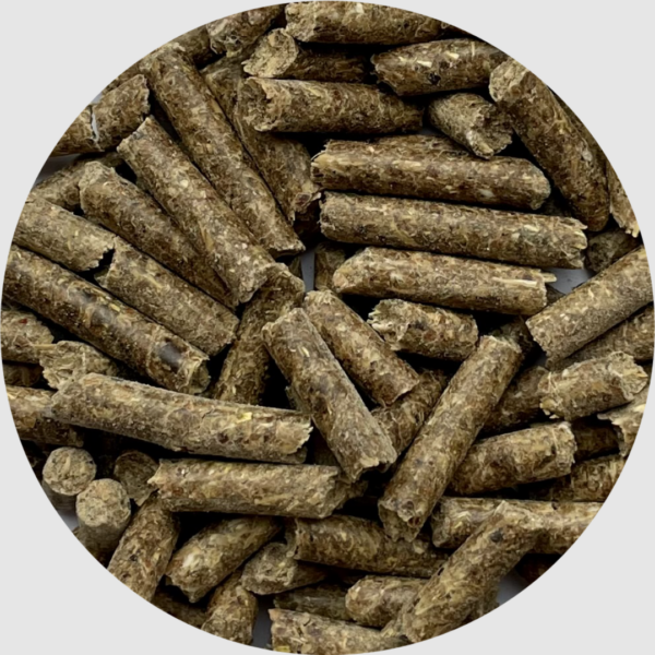 BIOFEED Horse & Pony Traditional Pellets 25 kg - granulat podstawowy