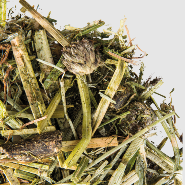 Pro-Linen Alfibre Digest MELASA FREE 15 kg – sieczka bez melasy dla koni wrzodowych