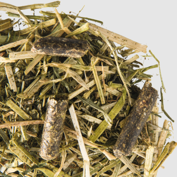 Pro-Linen Alfibre Oil MELASA FREE 15 kg - kaloryczna, smakowita sieczka bez melasy