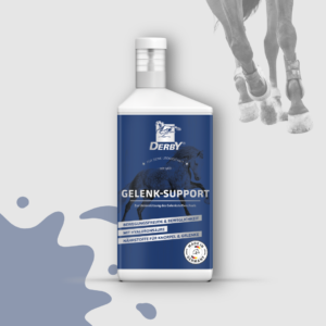 Opakowanie suplementu DERBY Gelenk-Support na końskie stawy. W tle nogi galopującego konia.