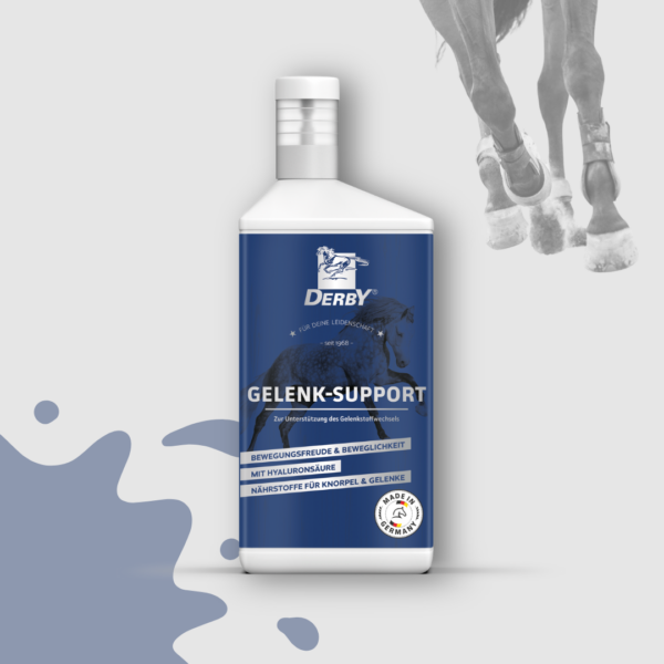 Opakowanie suplementu DERBY Gelenk-Support na końskie stawy. W tle nogi galopującego konia.