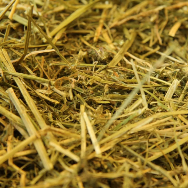 MASTERS LuzerneMix Special 20kg - olejowana sieczka z lucerny