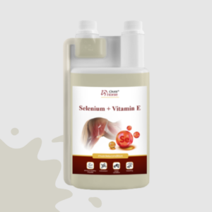 Suplement Over Horse Selenium uzupełnienie selenu dla koni.