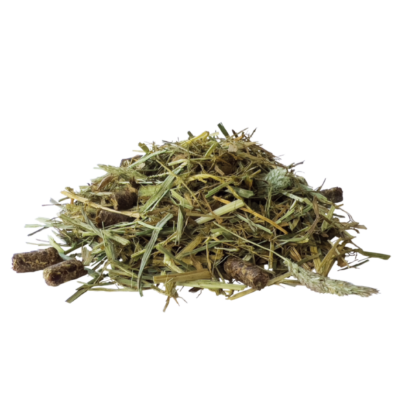 2x PAVO SeniorFibre 12 kg - drobna sieczka bez lucerny i melasy dla koni z problemami stomatologicznymi