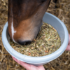 Koń je sieczkę bez melasy PAVO DailyPlus.