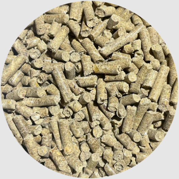 BIOFEED Horse & Pony Vitamins & Minerals 25 kg - witaminy i minerały dla koni