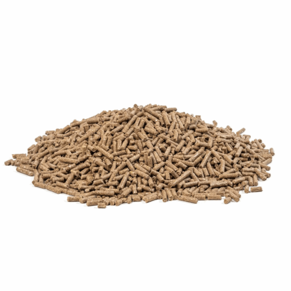 MASTERS Basis-Sport 20 kg - podstawowa pasza bez owsa