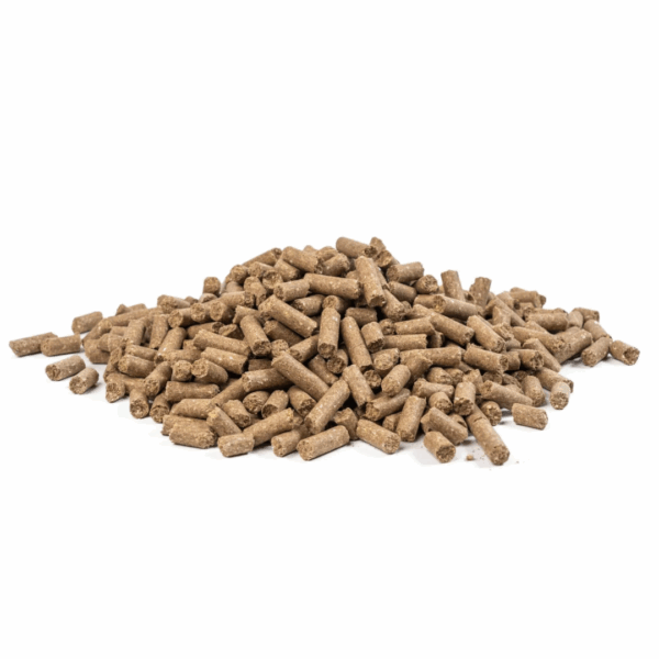 MASTERS Merrie 20kg - pasza dla klaczy źrebnych, karmiących i ogierów