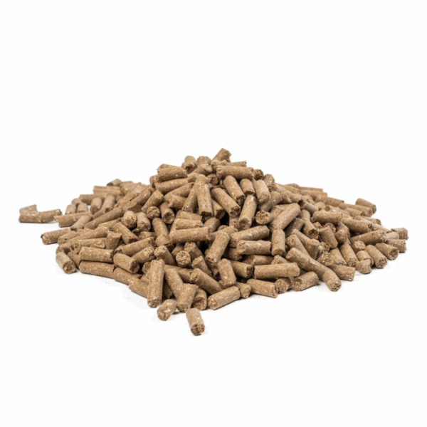 Granulat Masters Prestatie na białym tle. Pellet dla koni.